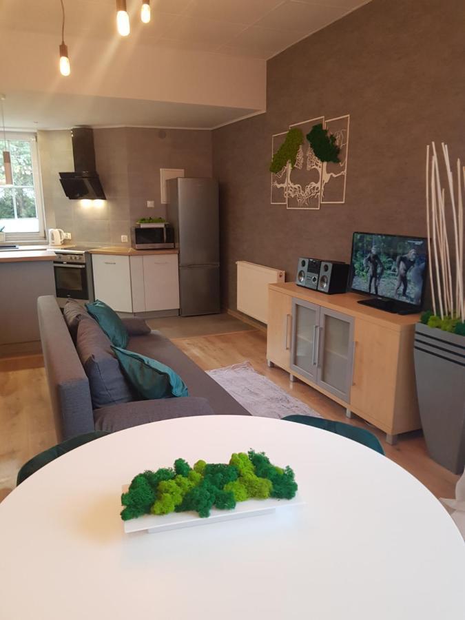 Apartamenty Paszkowka Pietrzykowice  Eksteriør bilde
